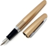 Picture of قلم حبر معدني اطار ذهبي بايلوت PILOT FPMR3MFL+Z-CS-MR2-S1	