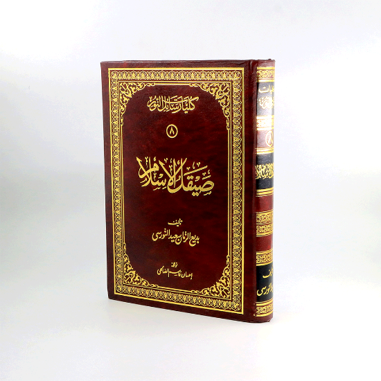 صورة صيقل الاسلام_النورسي